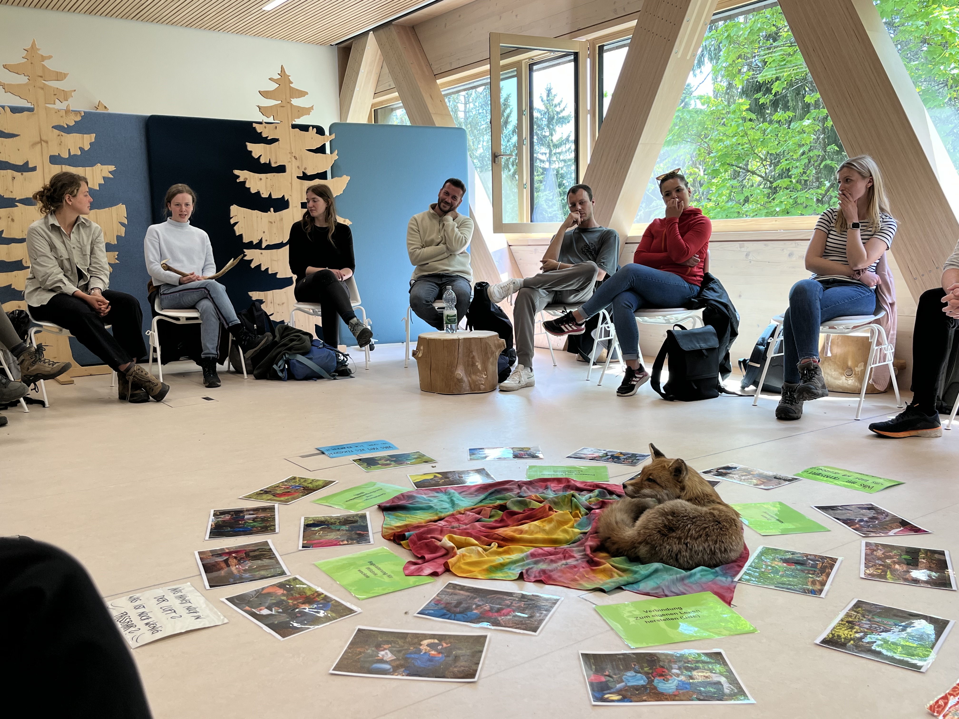 Teilnehmerinnen und Teilnehmer des Praktikums am Nationalpark Schwarzwald in einem Sitzkreis