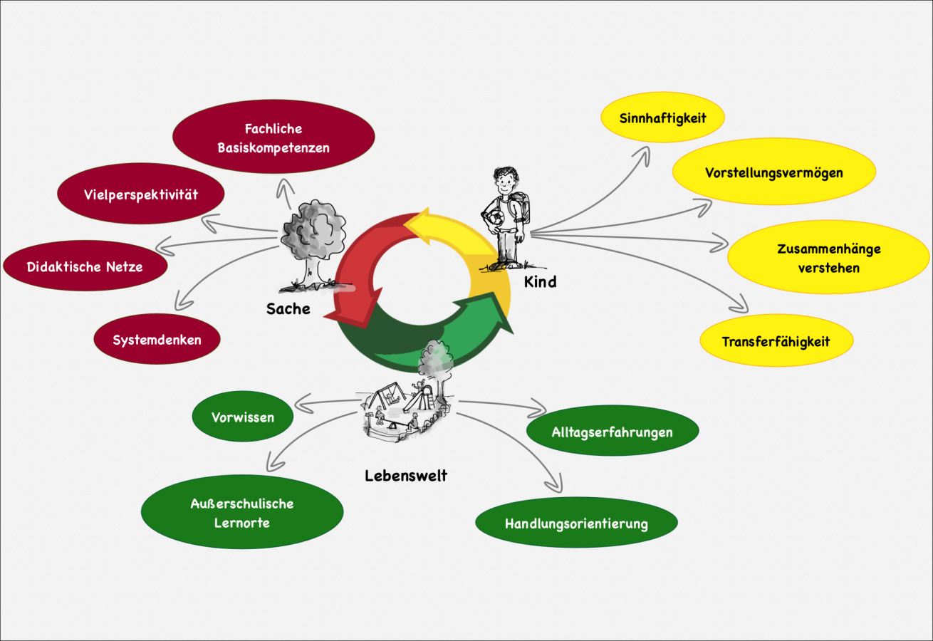 Darstellung der Systematik der Ausbildung Sachunterricht mit den drei Teilbereichen "Kind", "Sache" und "Lebenswelt" sowie Teilbereichen. Teilbereiche "Kind": Sinnhaftigkeit, Vorstellungsvermögen, Zusammenhänge verstehen, Transferfähigkeit. teilbereiche "Lebenswelt": Vorwissen, Alltagserfahrungen, außerschulische Lernorte, Handlungsorientierung. Teilbereiche "Sache": Fachliche Basiskompetenze, Vielperspektivität, didaktische Netze, Systemdenken.