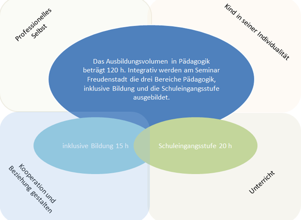 Konzept Päd