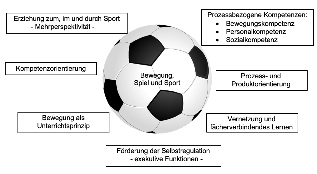 Darstellung der Ausbildungskonzeption Sport mit den grundlegenden Aspekten: Für uns sind folgende Aspekte von grundlegender Bedeutung:  1)       Erziehung zum, im und durch Sport -Mehrperspektivität 2)   Prozessbezogene Kompetenzen: •     Bewegungskompetenz •       Personalkompetenz •        Sozialkompetenz 3)      Vernetzung und fächerverbindendes Lernen 4)        Förderung der Selbstregulation – exekutive Funktionen 5)     Bewegung als Unterrichtsprinzip 6)      Prozess- und Produktorientierung 7)     Kompetenzorientierung
